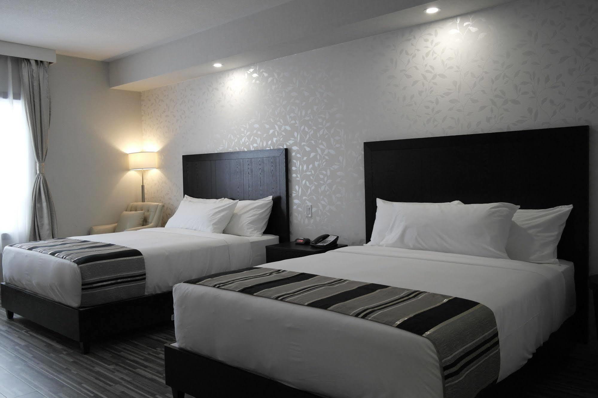 Stars Inn Leduc Dış mekan fotoğraf